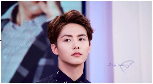 杨洋和马天宇最新爆料,揭秘娱乐圈幕后故事